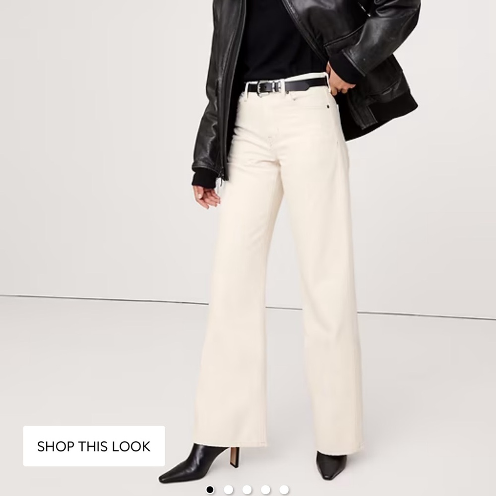 Banana Republic High Rise Wide Leg
